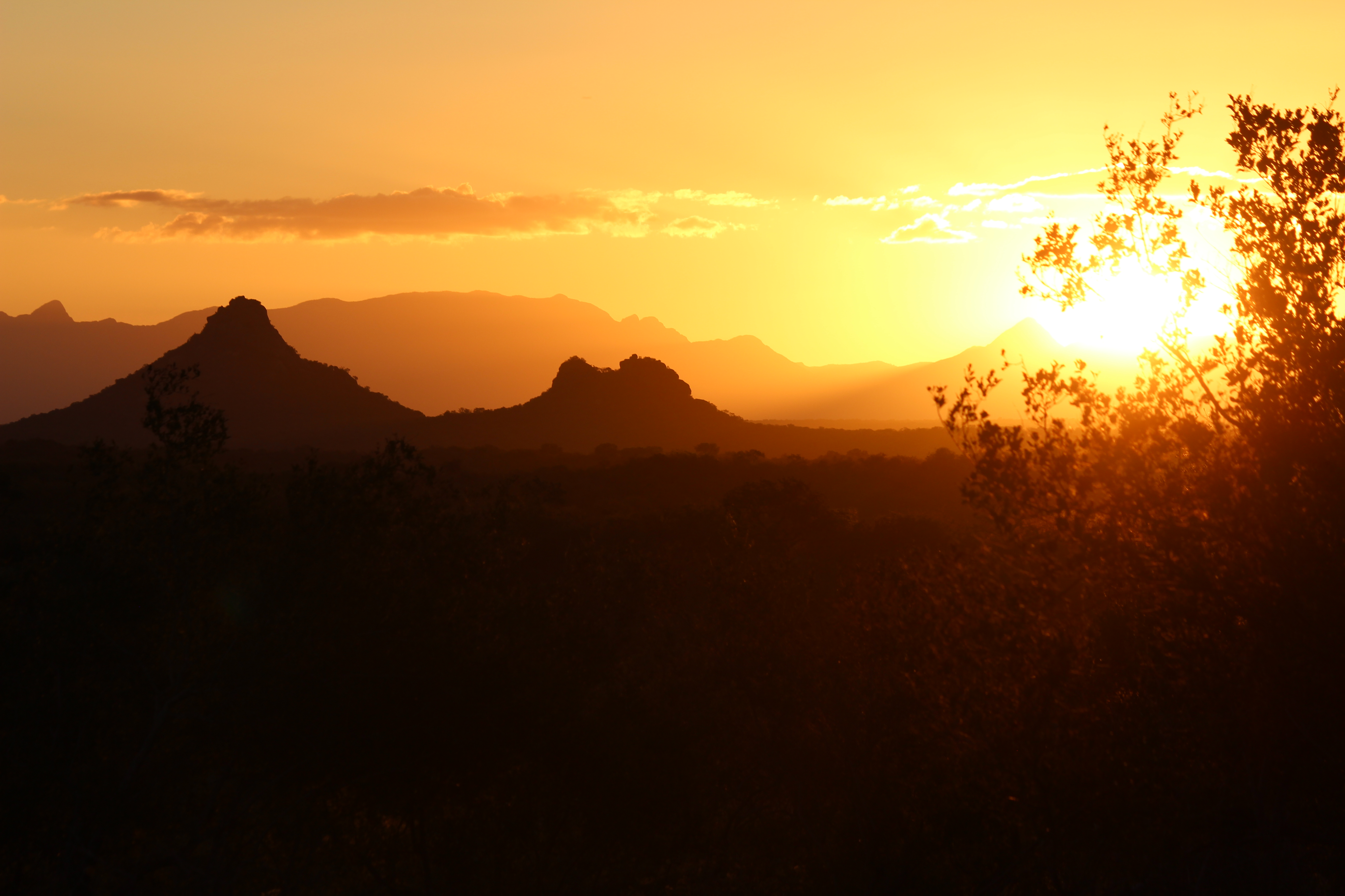 Malerischer Sonnenuntergang inklusive bei der Krüger Park Safari in Südafrika